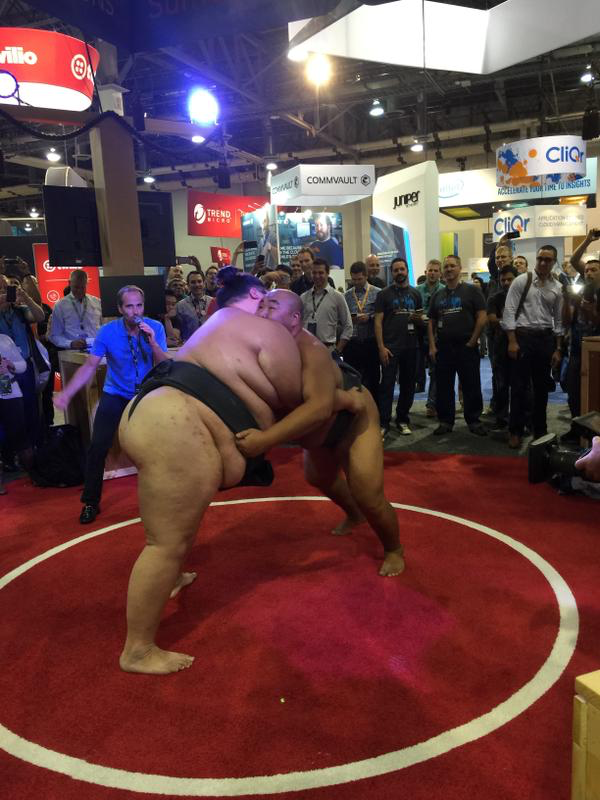 Sumo Wrestlers