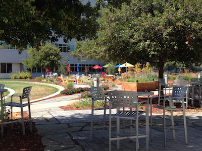GoogleCampus