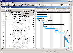 ms_project