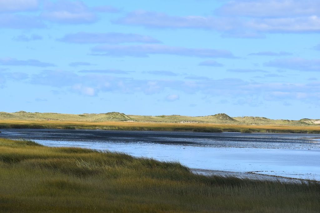 Cape Cod Hikes: Great Island