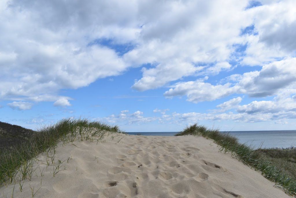 Cape Cod Hikes: Pamet Area