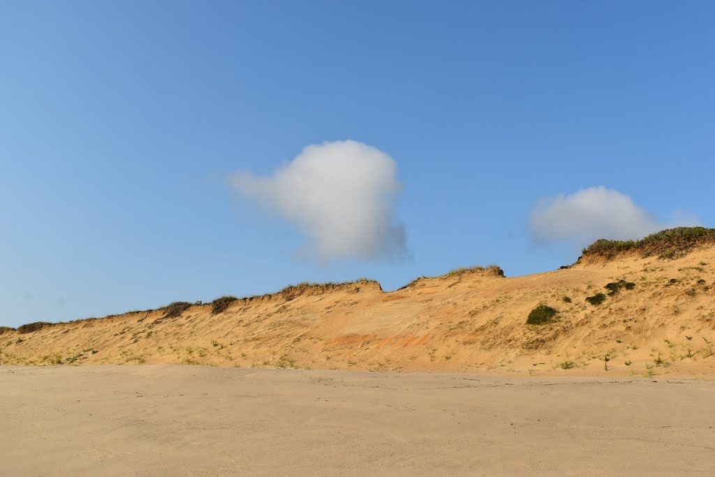 A Thoreau Walk: Guide to Hiking the Cape Cod National Seashore