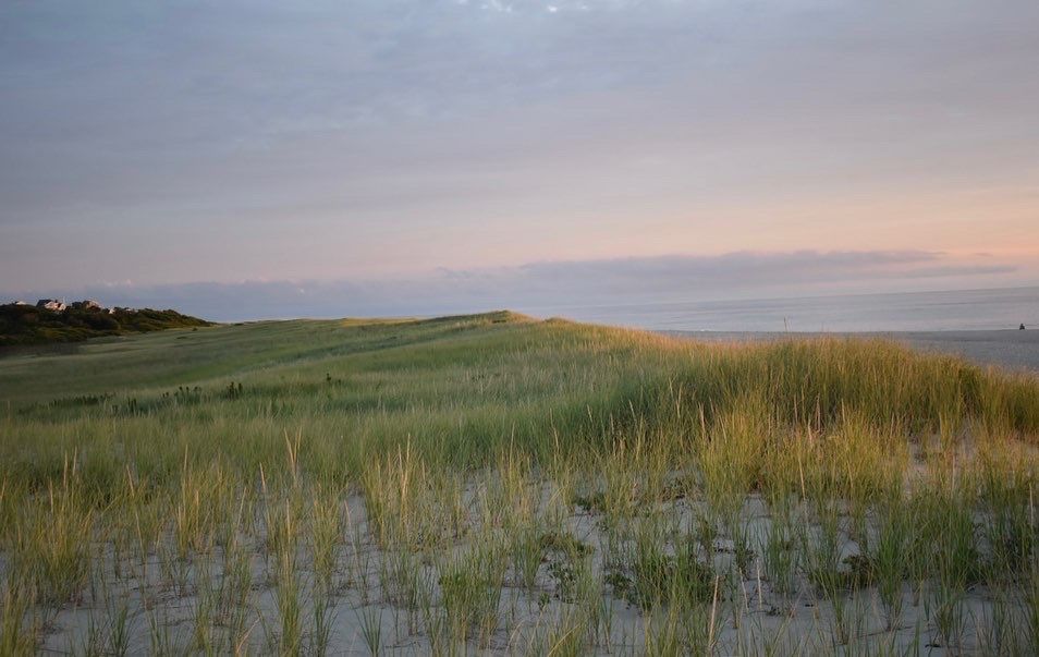45 Things To Do This Summer In and Around Orleans (2024)